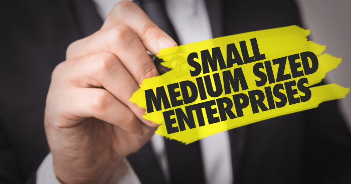 Enterprises smes sme divide recommendations